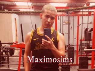 Maximosims