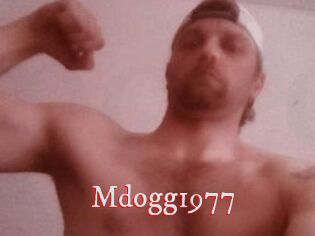 Mdogg1977