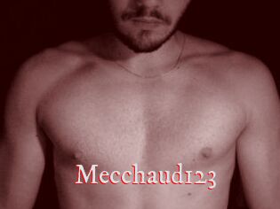 Mecchaud123