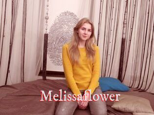 Melissaflower