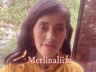 Merlinaliizz