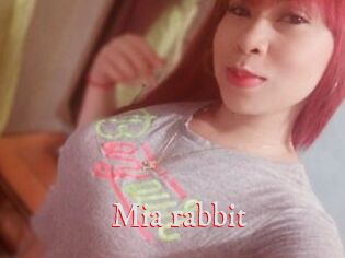Mia_rabbit