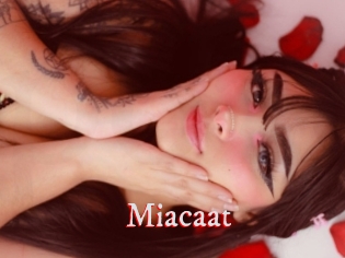 Miacaat