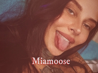 Miamoose