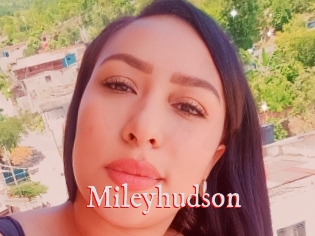 Mileyhudson