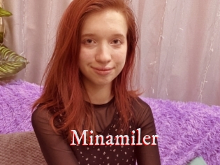 Minamiler