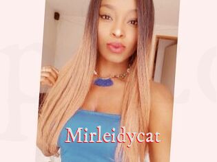 Mirleidycat