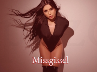 Missgissel