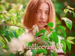 Mollieevans