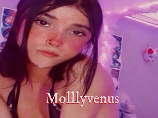 Molllyvenus