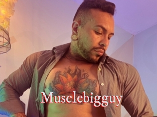 musclebigguy Pornstars Zoe