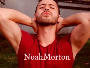 NoahMorton