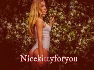 Nicekittyforyou