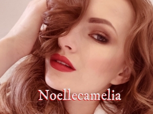 Noellecamelia