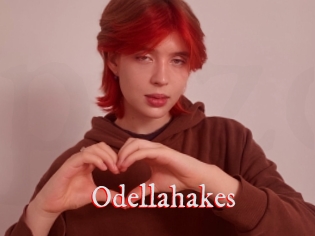 Odellahakes