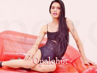 Opalohot