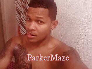 Parker_Maze