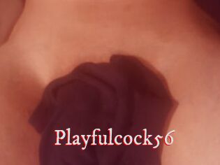 Playfulcock56
