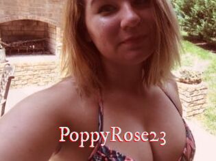 PoppyRose23