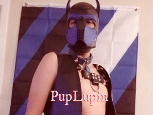 PupLupin Pornstars Zoe