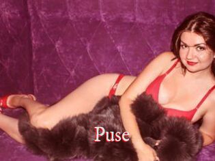 Puse