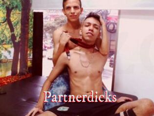 Partnerdicks