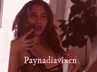 Paynadiavixen