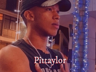 pittaylor Pornstars Zoe
