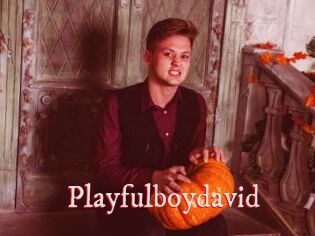 Playfulboydavid