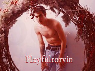 Playfultorvin