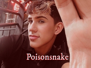 Poisonsnake
