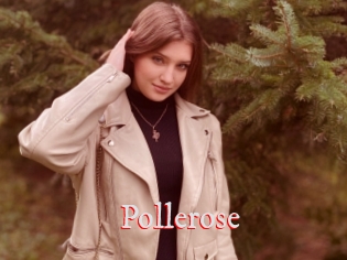 Pollerose