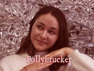 Pollybrucker