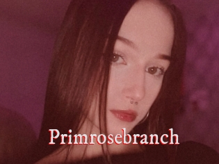 Primrosebranch