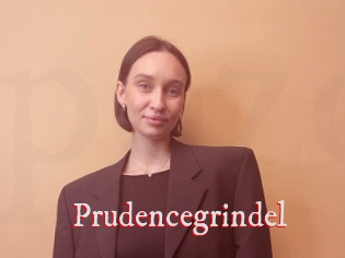 Prudencegrindel