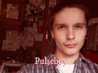 Pulseboy