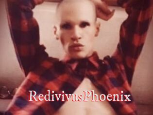RedivivusPhoenix