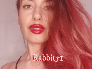Rabbit51