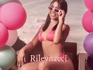 Rileynacci