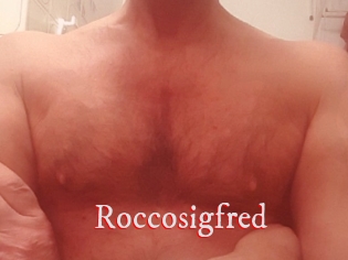 Roccosigfred