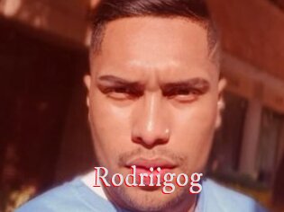 Rodriigog