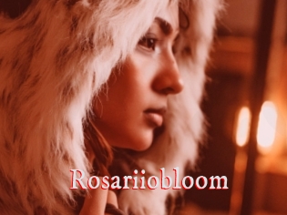 Rosariiobloom