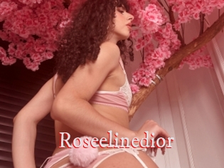 Roseelinedior