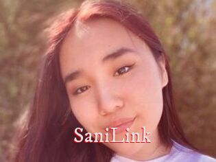 SaniLink