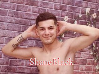 ShaneBlack