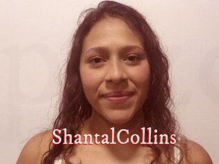 ShantalCollins Pornstars Zoe