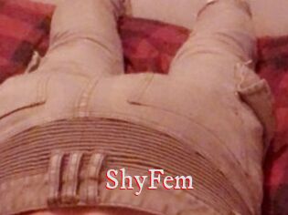 ShyFem