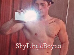 ShyLittleBoy20
