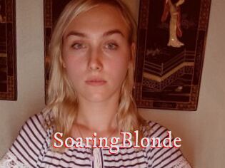 SoaringBlonde