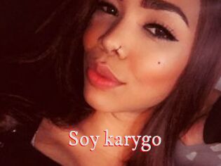 Soy_karygo